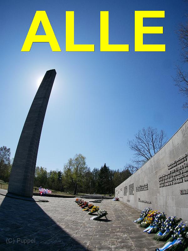 A ALLE.jpg